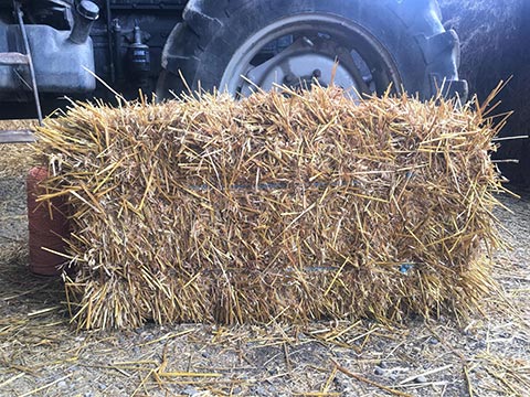 Straw Bales for Essex Farm Services Ltd