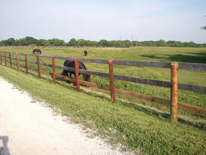 Fencing by Essex Farm Services