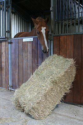 Horse Stable Hay for Essex Farm Services Ltd